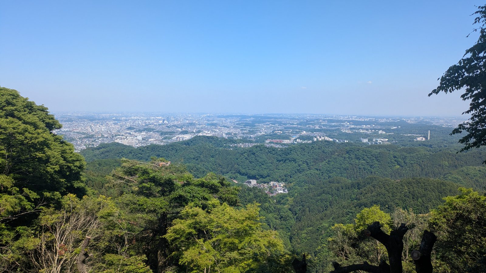A clear view over the Tokyo plain from a wooded terrace