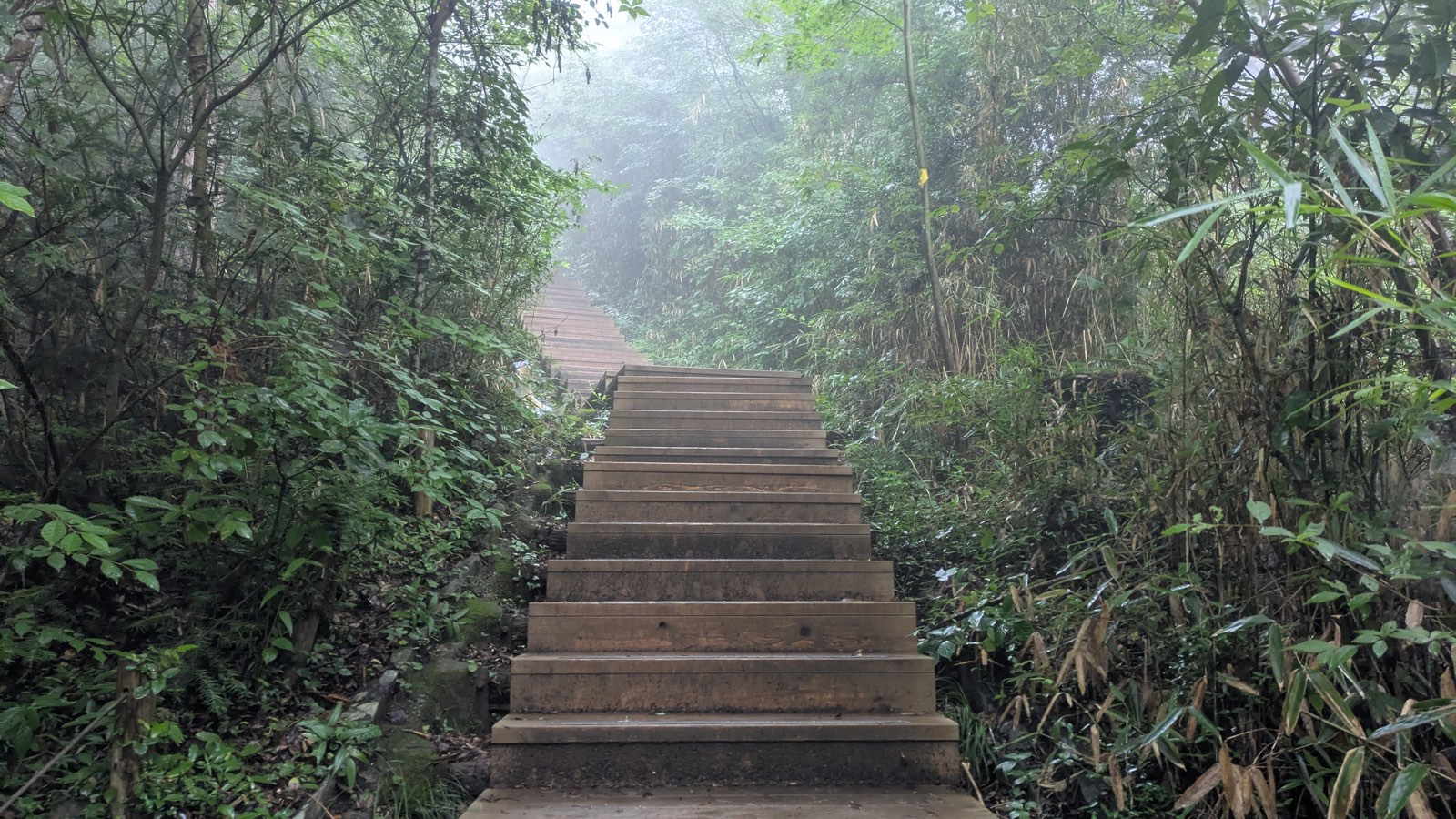 A wide flight of pale wooden steps climbing steeply, disappearing into fog