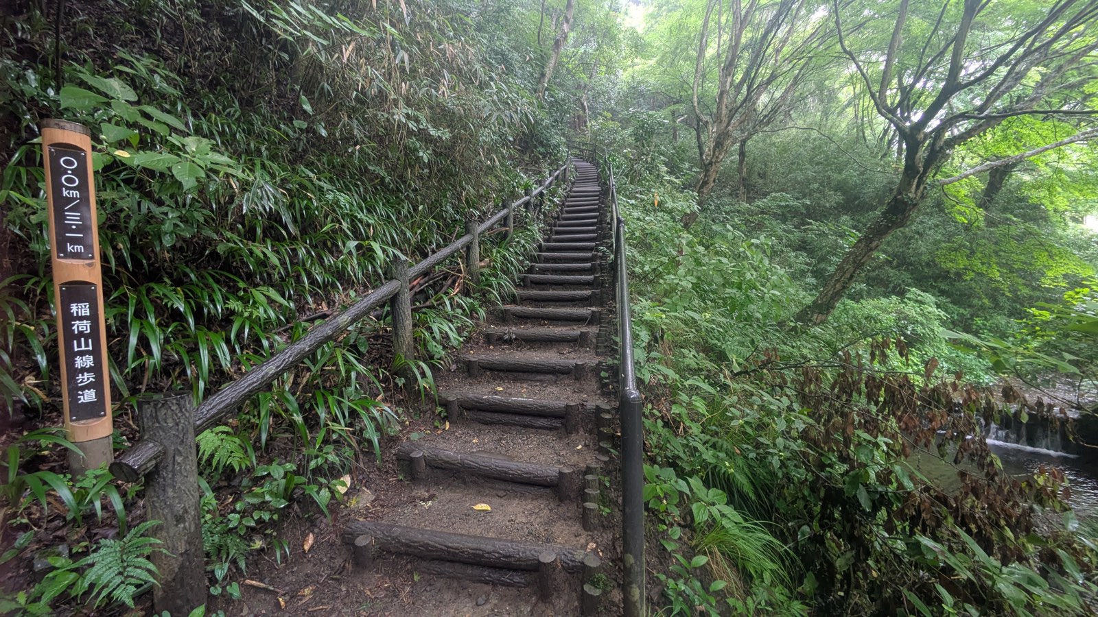 A long flight of log-and-earth steps with a handrail climbing steeply away from the trailhead