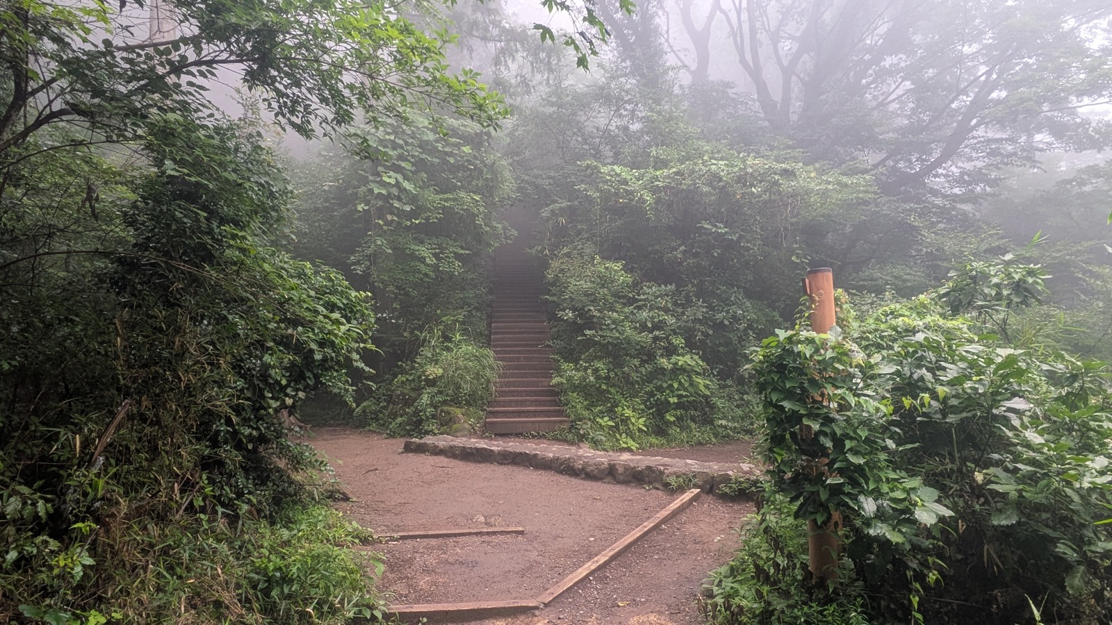 A wide flat clearing in fog where the Inariyama Trail meets Trail 5, with a flight of steps climbing away into mist