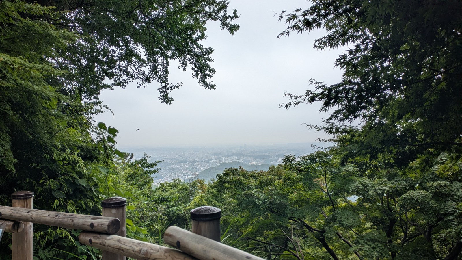 A hazy view over the city through a gap in the trees, seen over a wooden railing