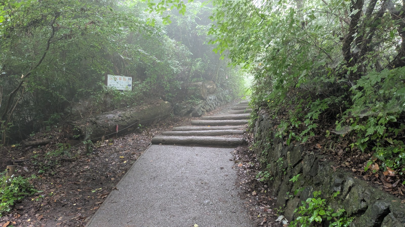 A paved trail that narrows into a flight of shallow steps climbing into mist, with a stone retaining wall on one side