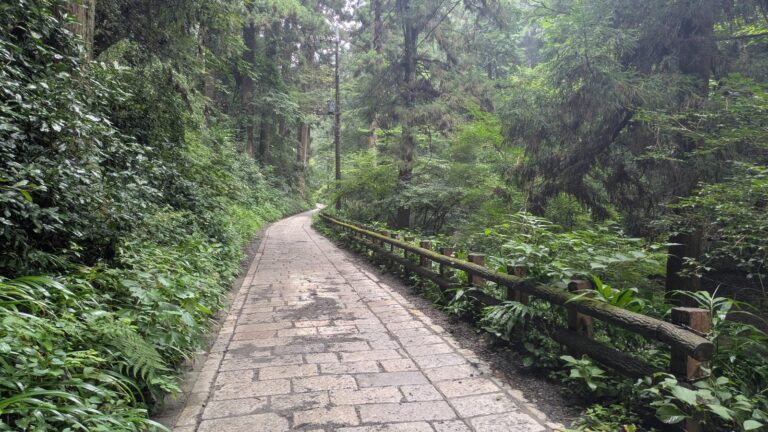 A paved stone path curving up through dense green forest on Trail 1