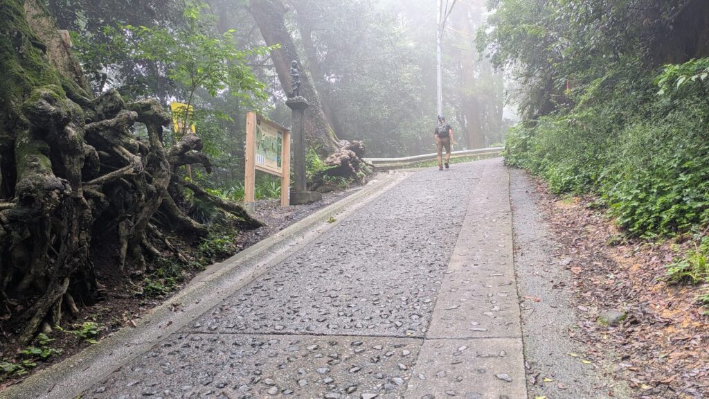 A steep paved section of Trail 1 in fog, with a hiker walking down it