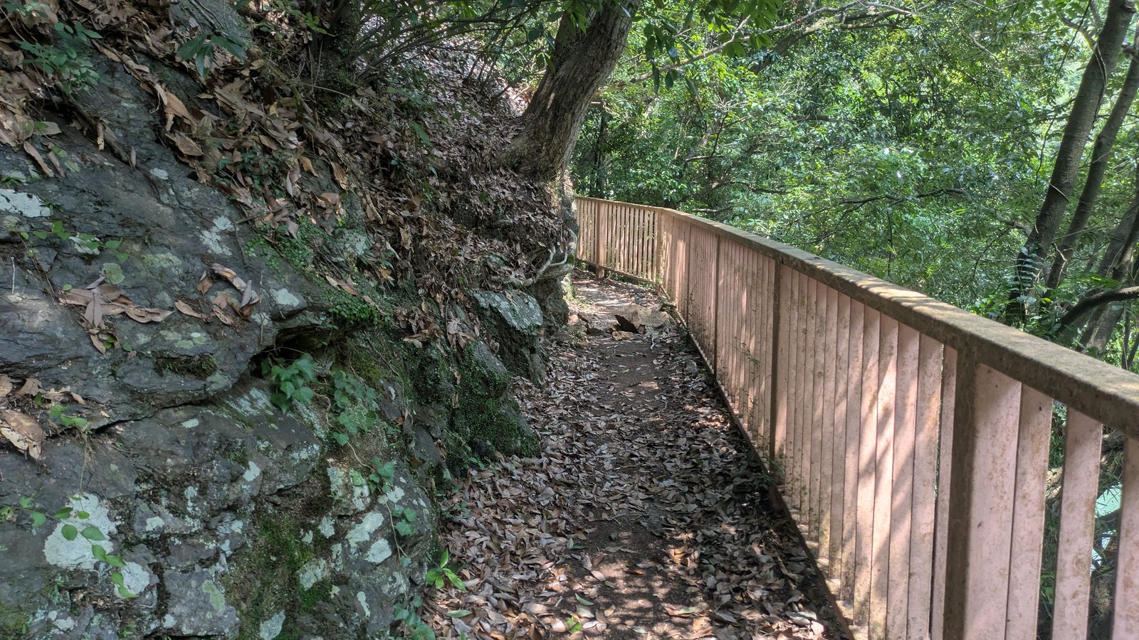 A narrow trail with a wooden handrail cut along a mossy rock face in dense forest