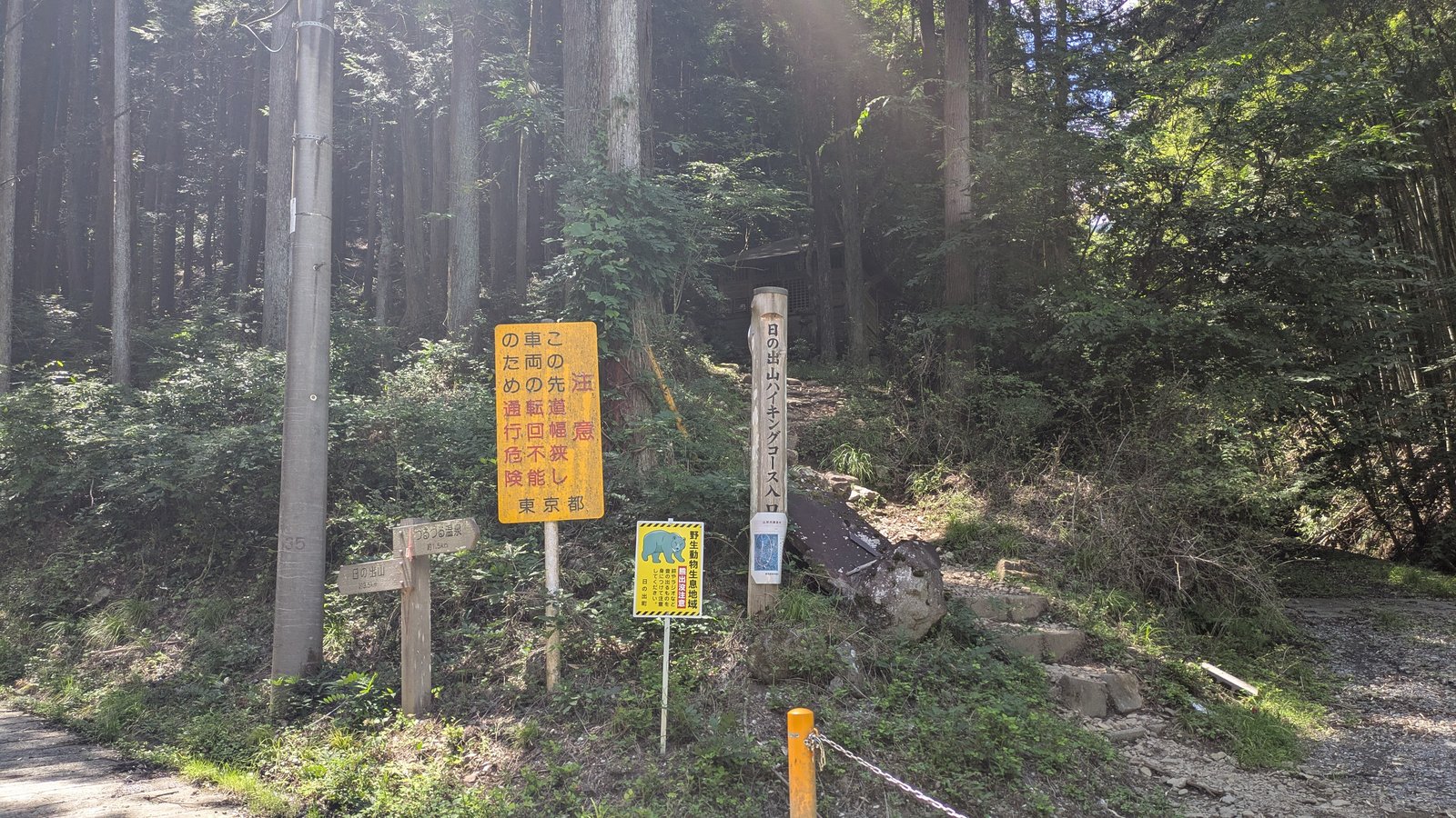A small yellow warning sign with an illustration of a bear beside a forest trailhead with wooden signposts
