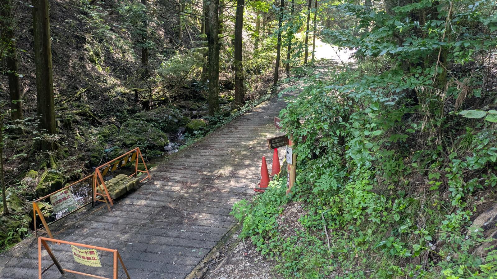 The point where the forest trail from Mount Hinode meets the paved road on the Hinode side