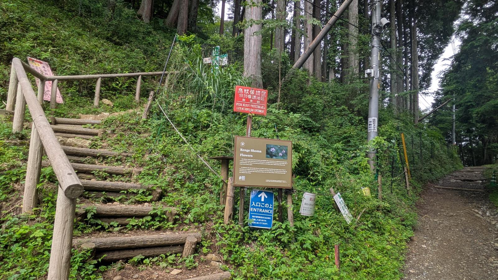 An English interpretive board at the entrance to the renge shoma flower slope