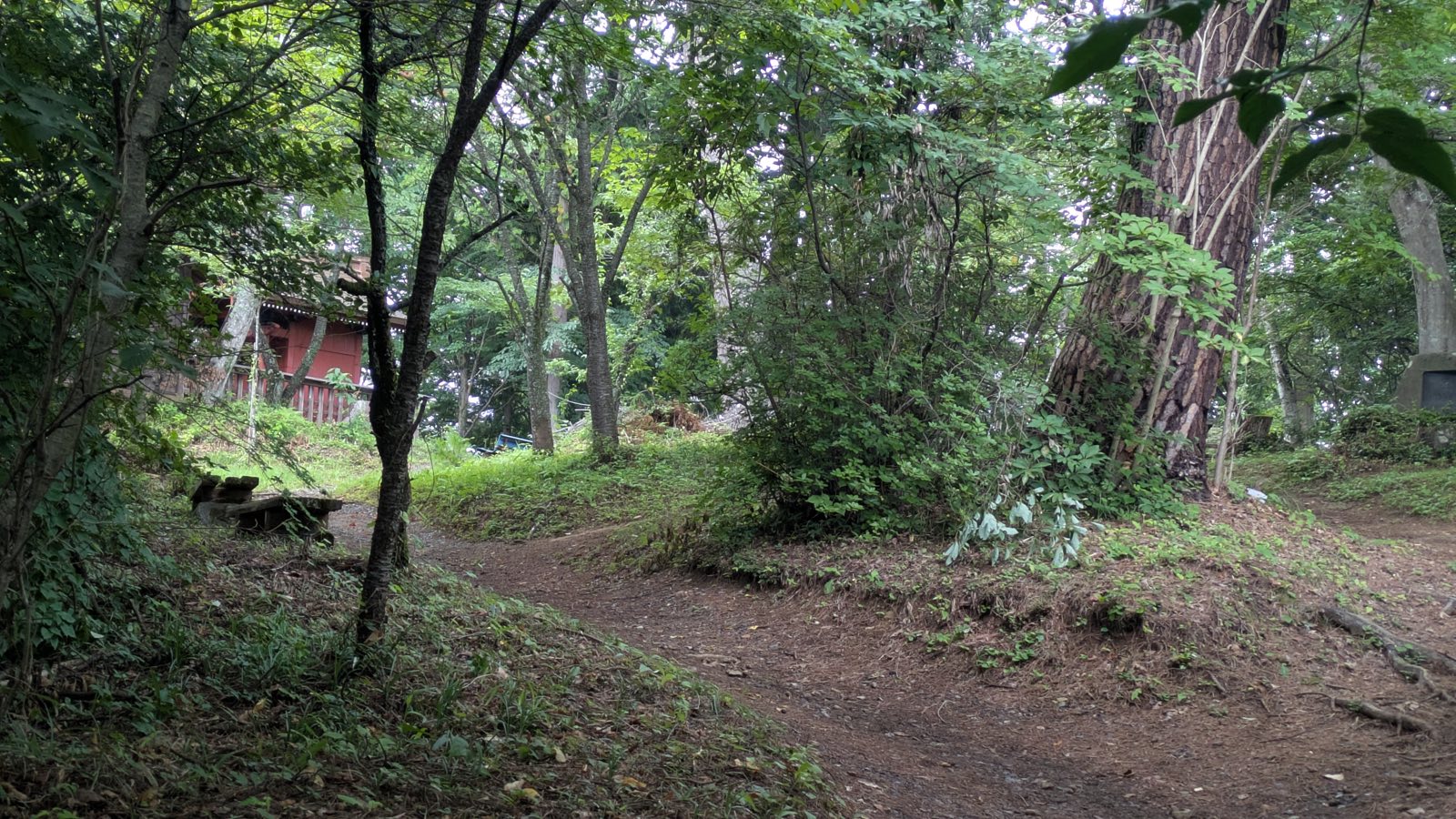 The small wooden shrine building of Ubuyasusha with sacred trees around it