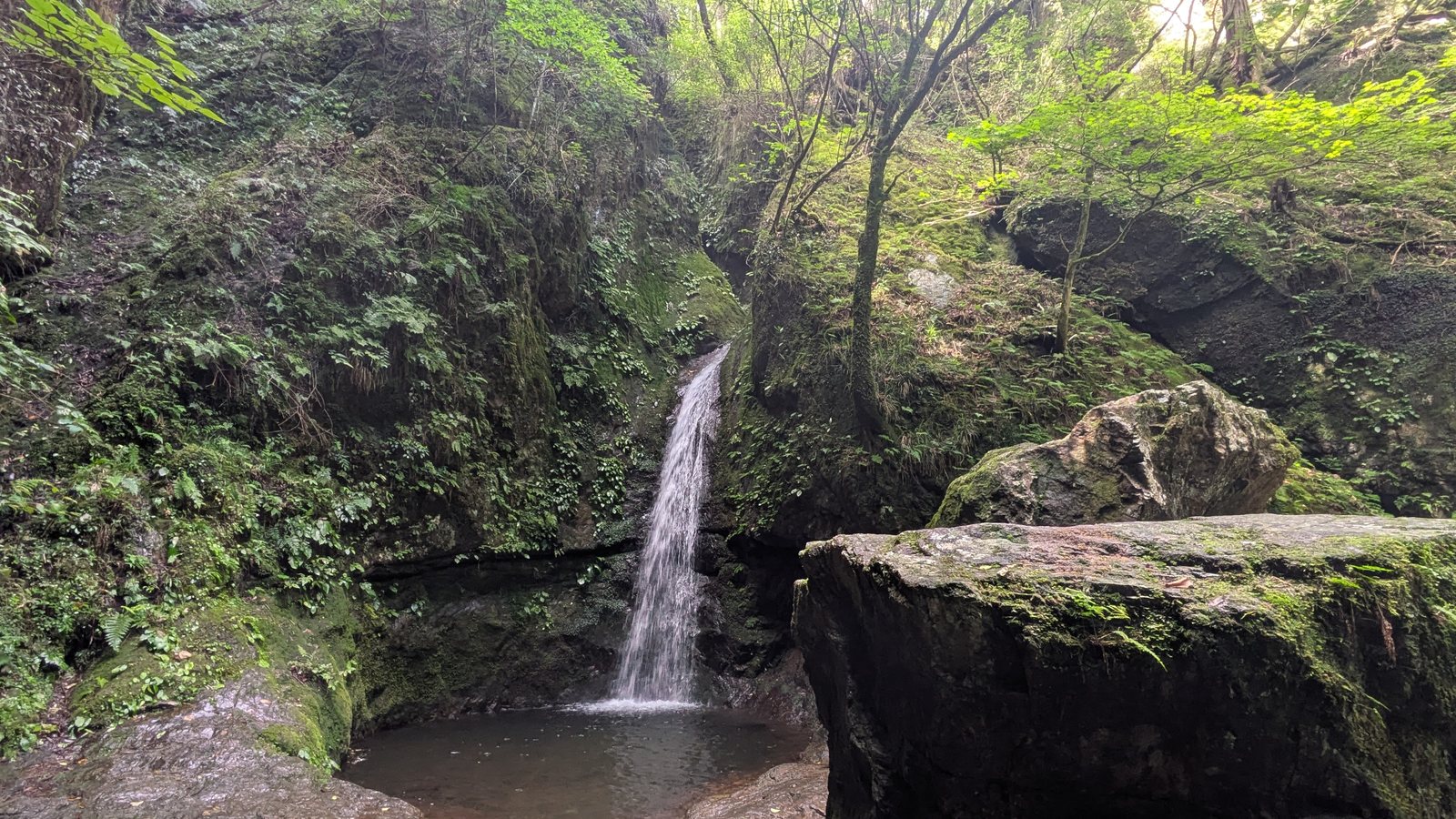 A narrow ribbon of water falling into a small pool surrounded by moss covered rock walls