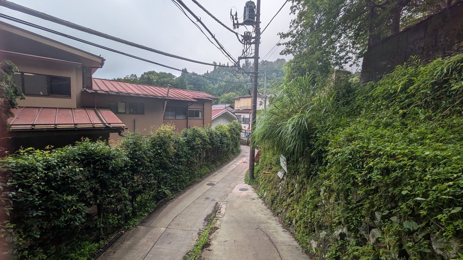 A paved lane on a mountaintop lined with traditional wooden lodgings under tall cedar trees