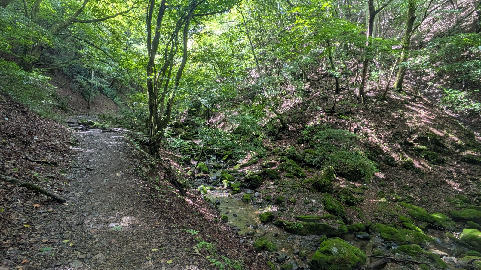 A wide packed earth path running along a wooded valley with a small stream flowing below it