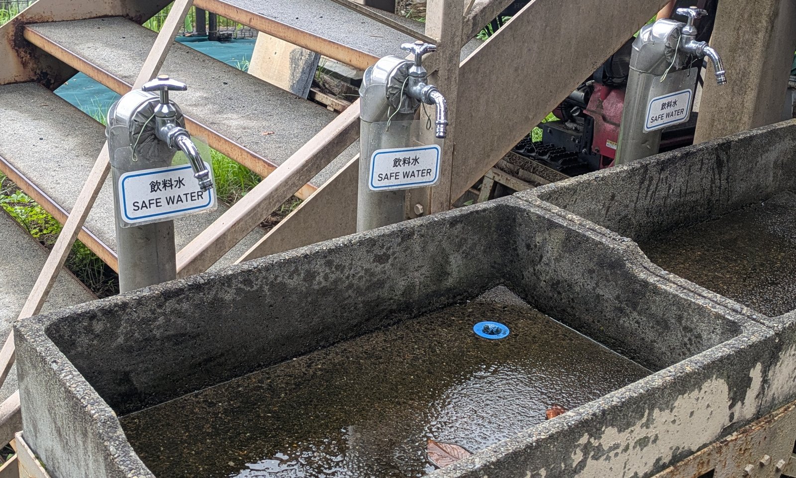 Three metal taps over a concrete trough with small blue signs reading SAFE WATER