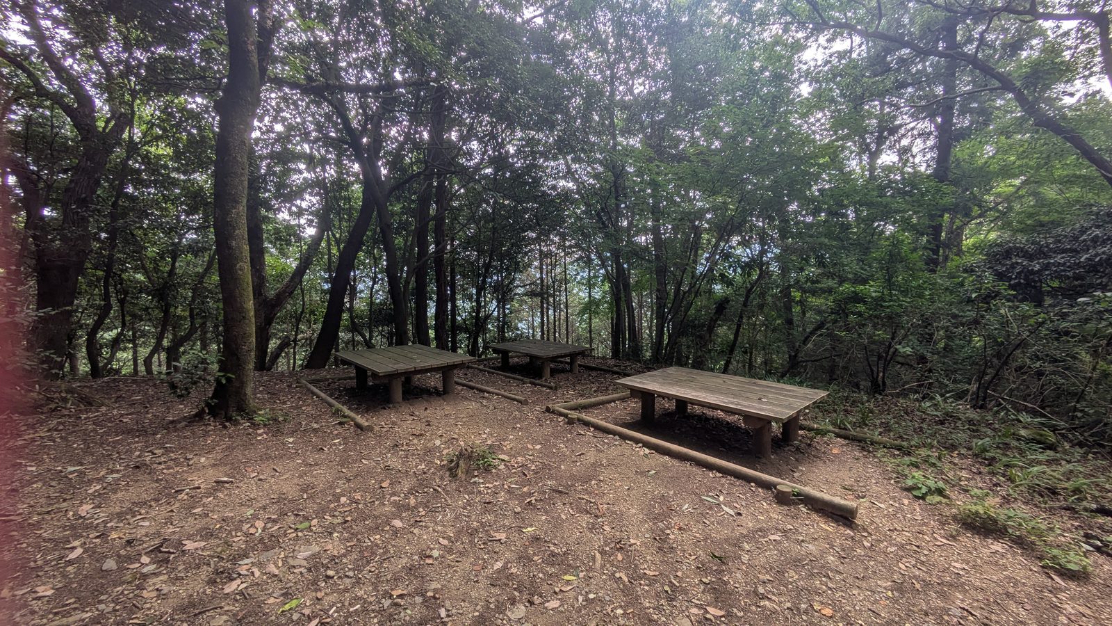 A level clearing in forest with simple wooden benches beside a trail