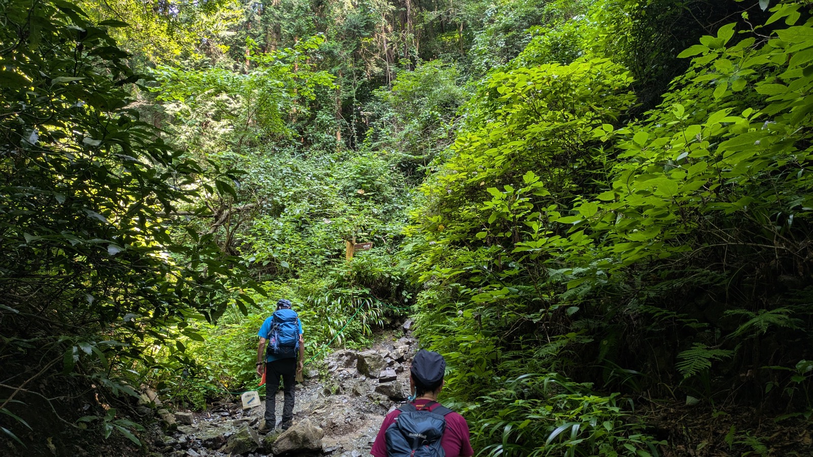 Two hikers picking their way up a rocky watercourse between steep green banks