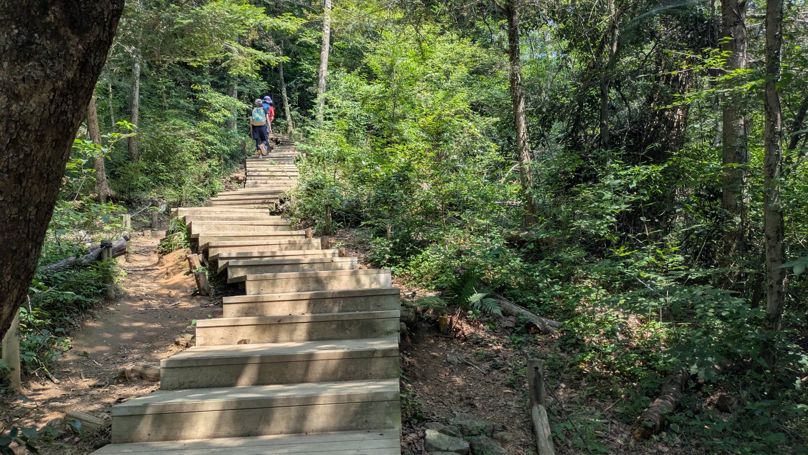 A long wooden staircase climbing steeply through forest with hikers near the top of the visible section
