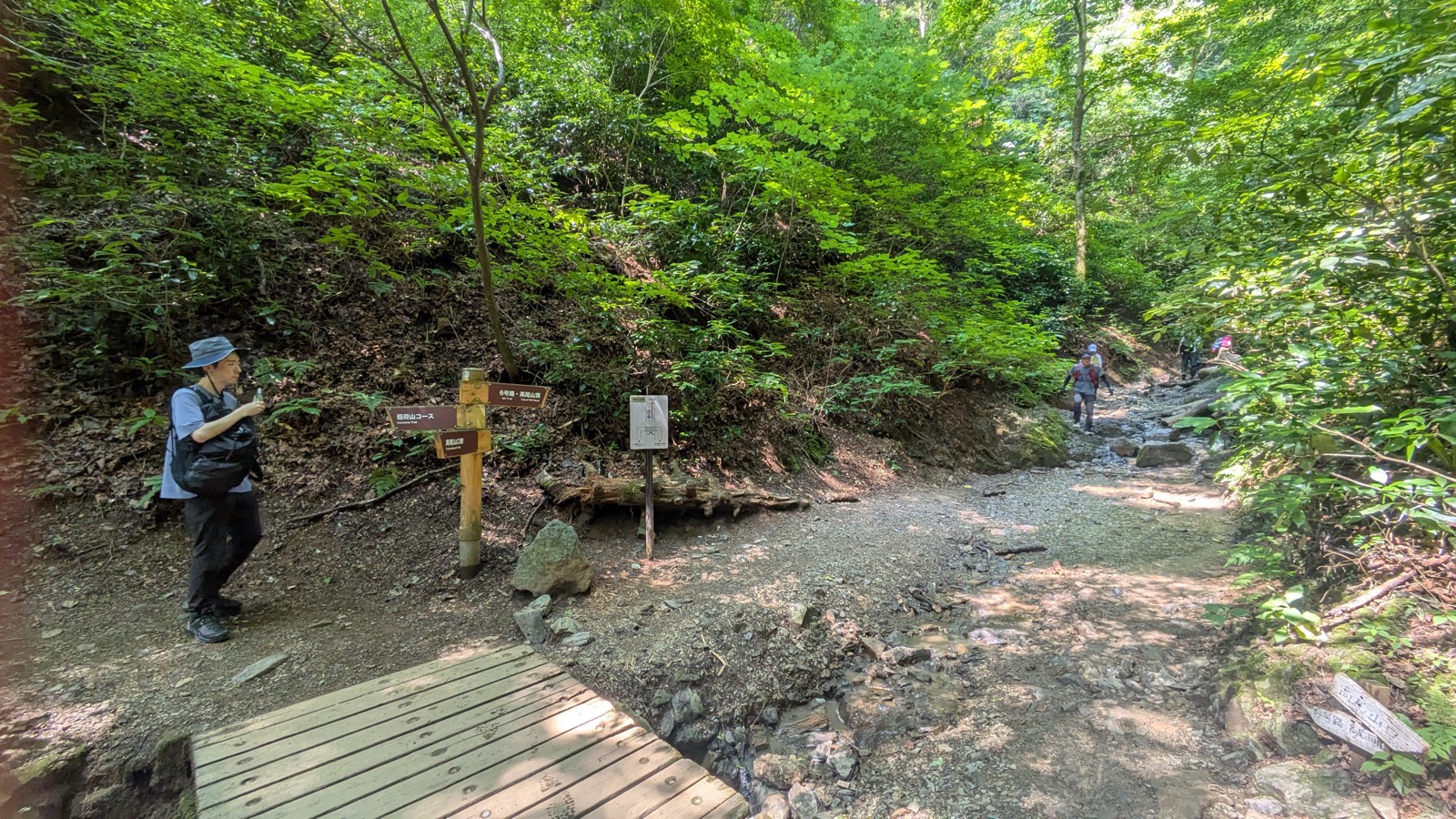 A three-armed wooden signpost beside a small footbridge at a trail junction in the forest