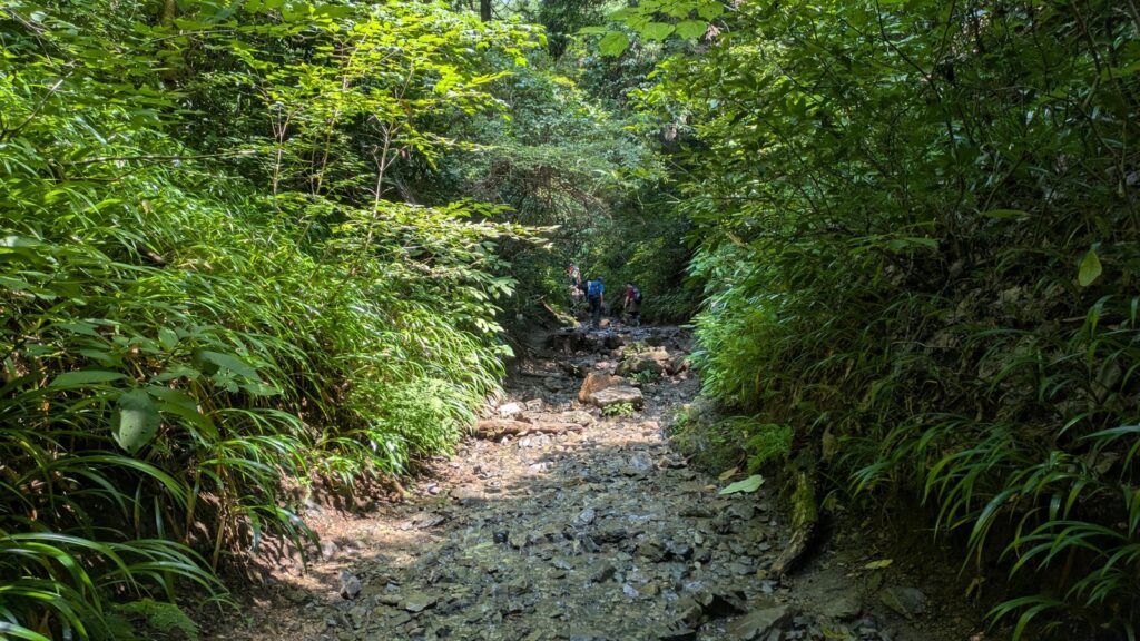 Hikers climbing a rocky streambed enclosed by dense green vegetation on Mount Takao
