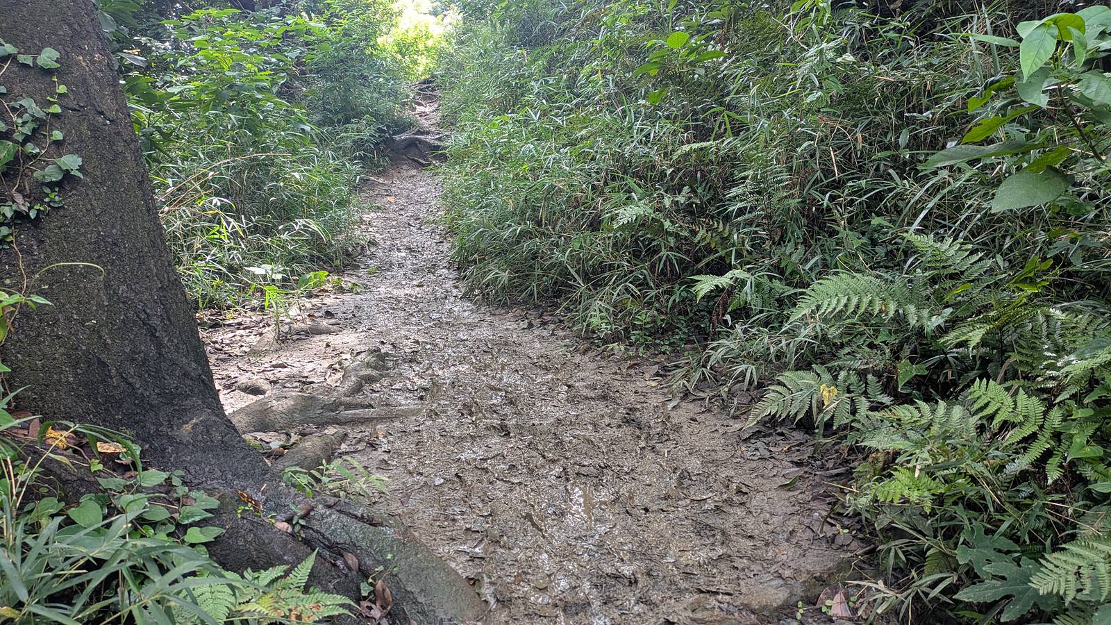 A churned mud channel across the trail with standing water
