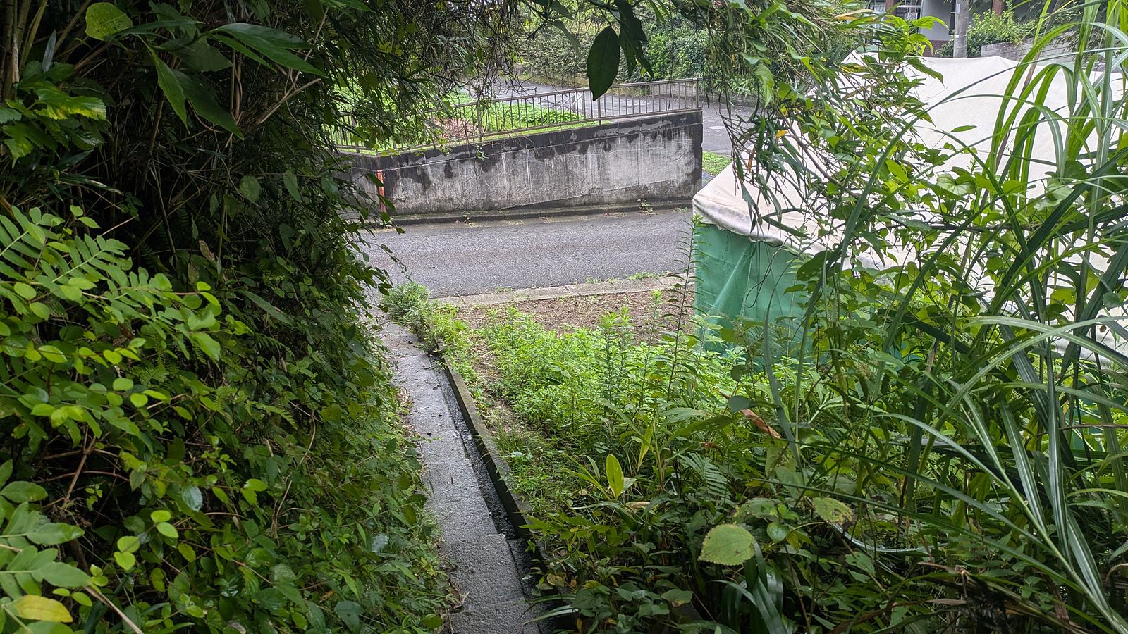The trail arriving at a residential retaining wall on the Zuisenji side