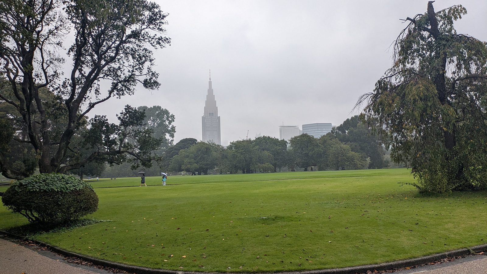 A wide lawn with scattered trees and the Docomo tower in the distance under a grey sky