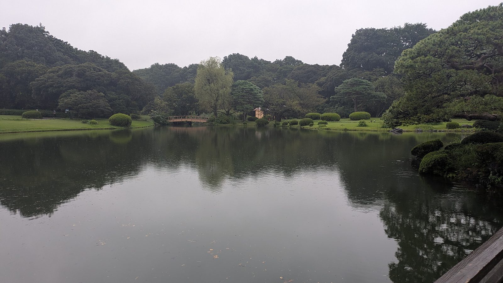 A still pond with a small wooden bridge and a willow on the far bank